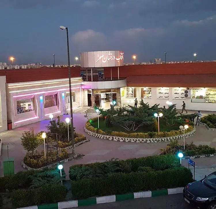 آفتاب درخشان صحرا